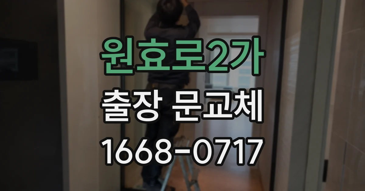 원효로2가 출장 문교체