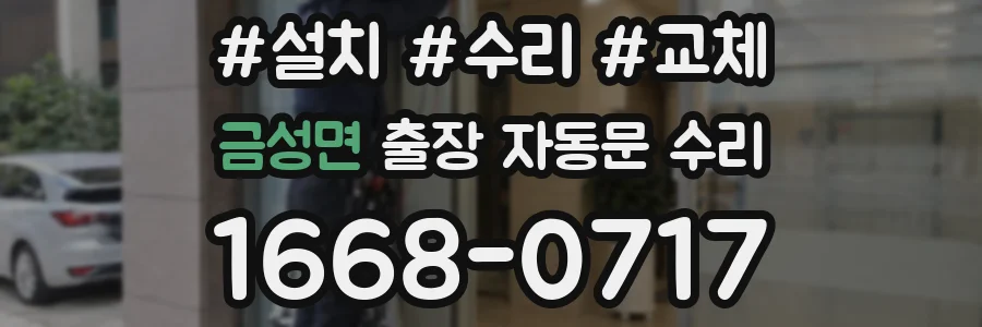 금성면 출장 자동문 수리