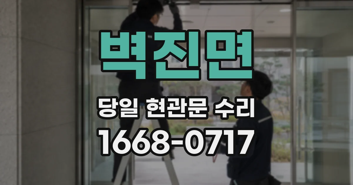 벽진면 당일 현관문 수리