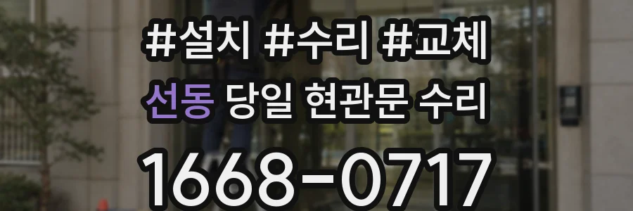 선동 당일 현관문 수리