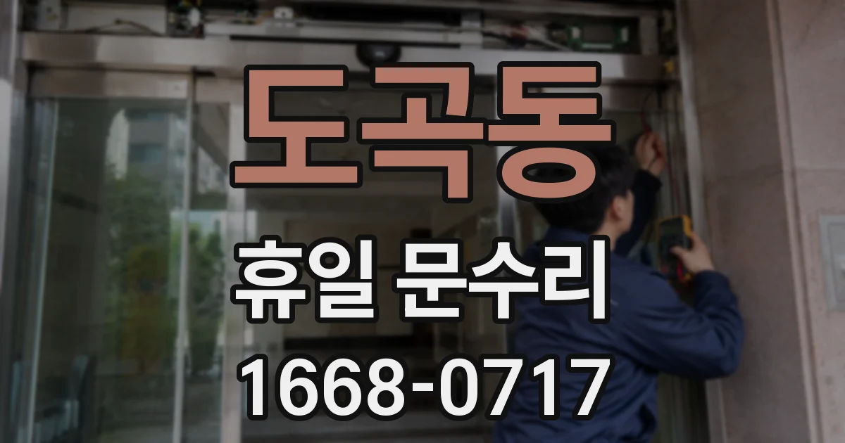 도곡동 휴일 문수리
