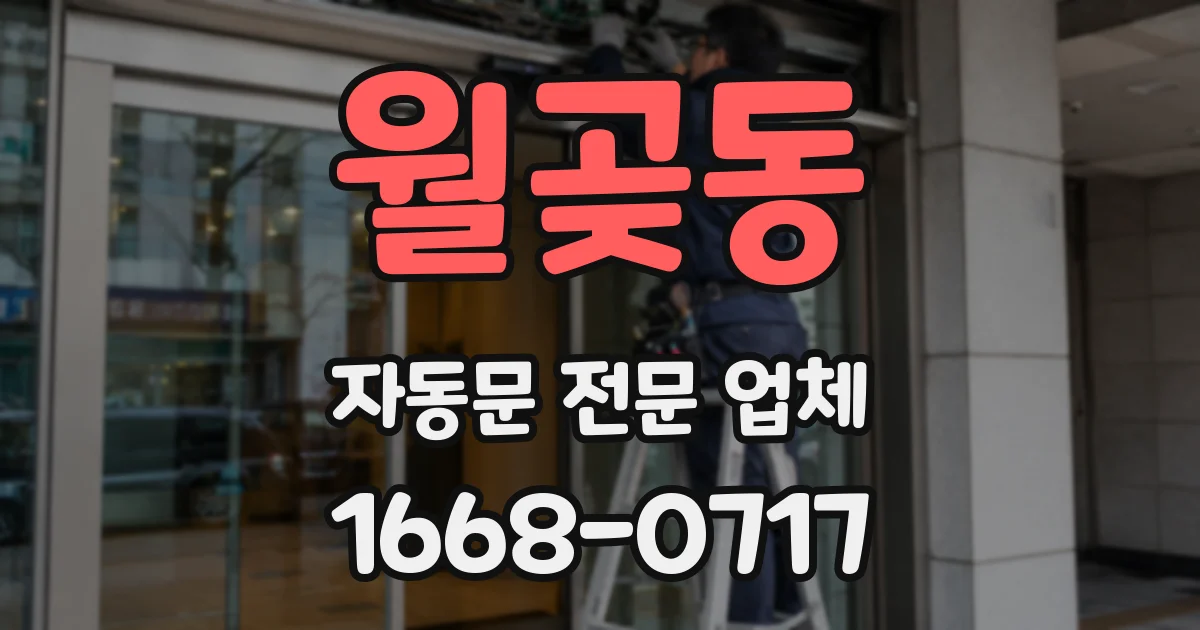월곶동 자동문 전문 업체