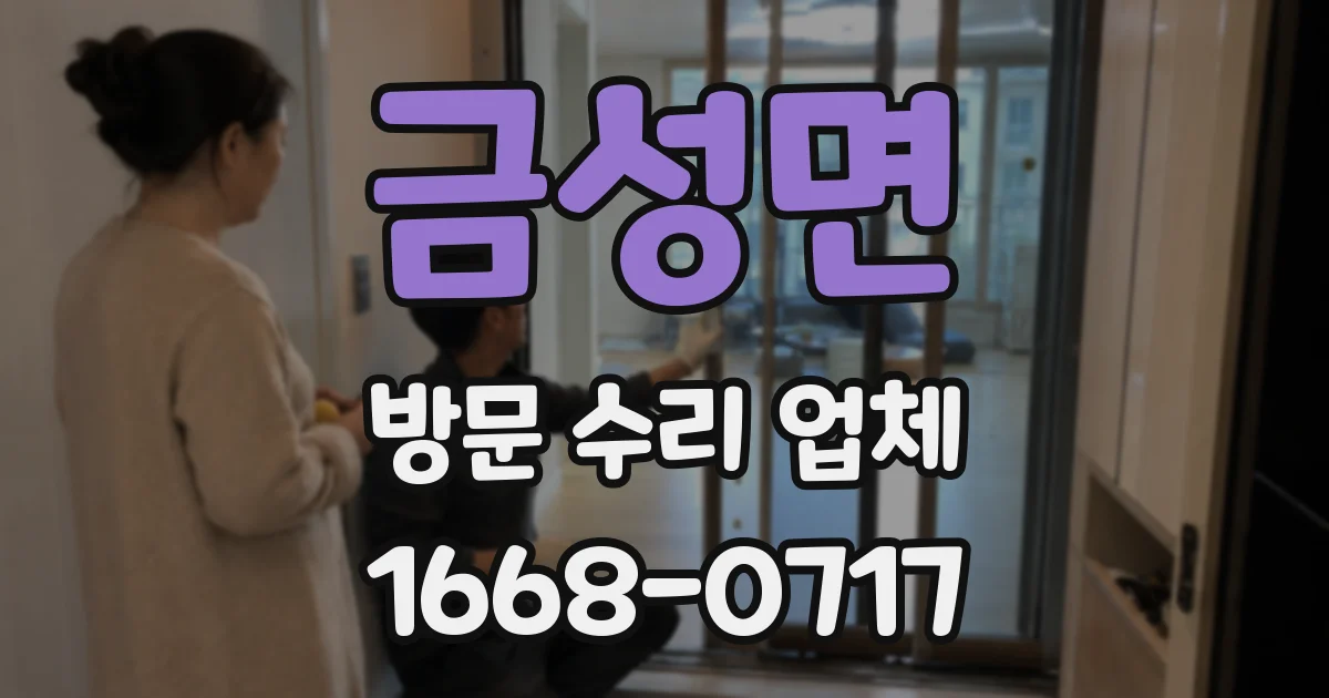 금성면 방문 수리 업체