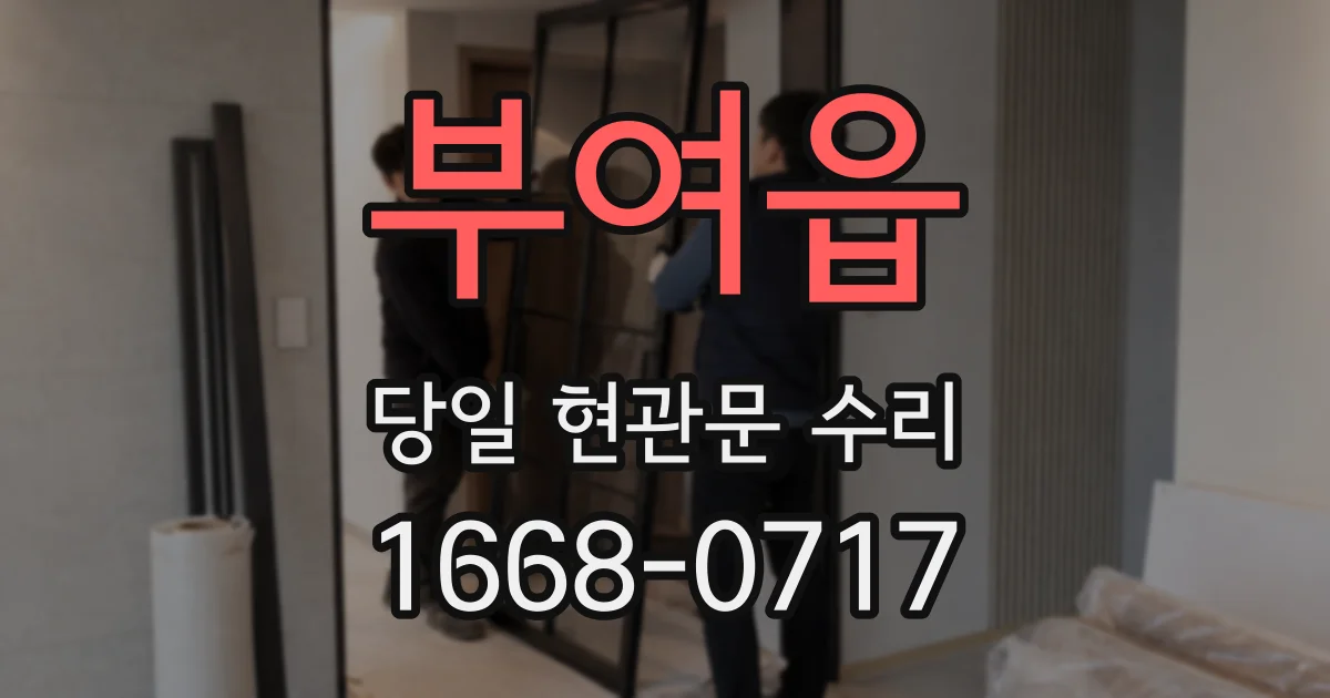 부여읍 당일 현관문 수리
