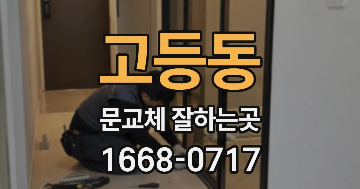 고등동 문교체 잘하는곳