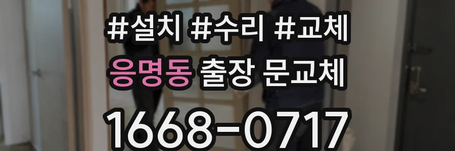 응명동 출장 문교체