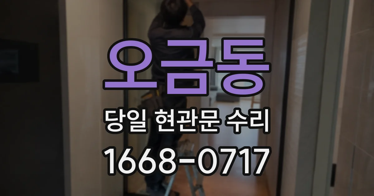 오금동 당일 현관문 수리