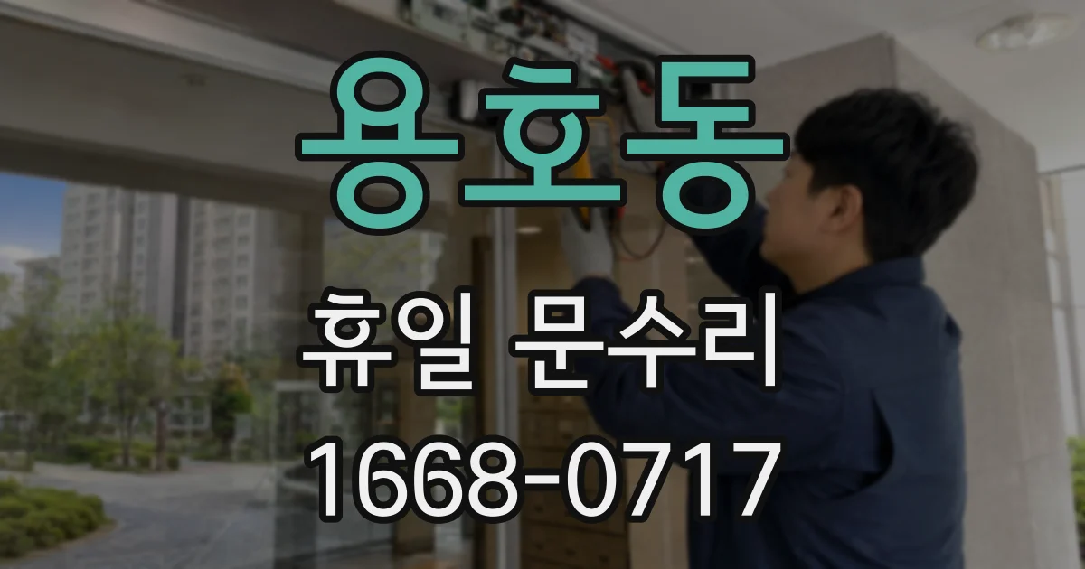 용호동 휴일 문수리