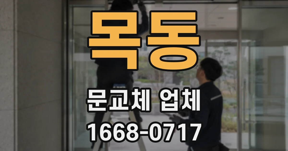 목동 문교체 업체