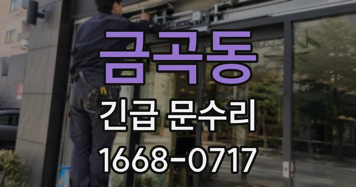 금곡동 긴급 문수리