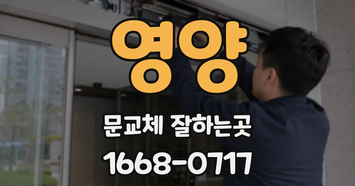 영양 문교체 잘하는곳