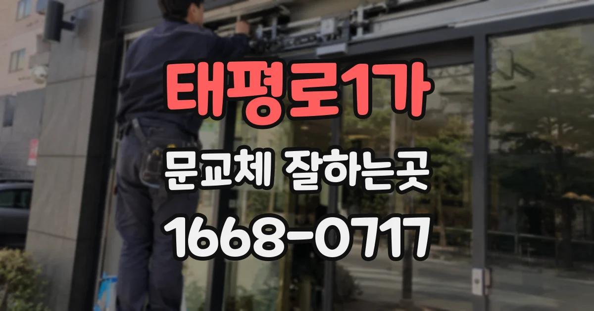 태평로1가 문교체 잘하는곳