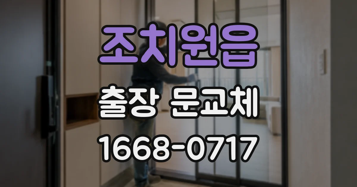 조치원읍 출장 문교체