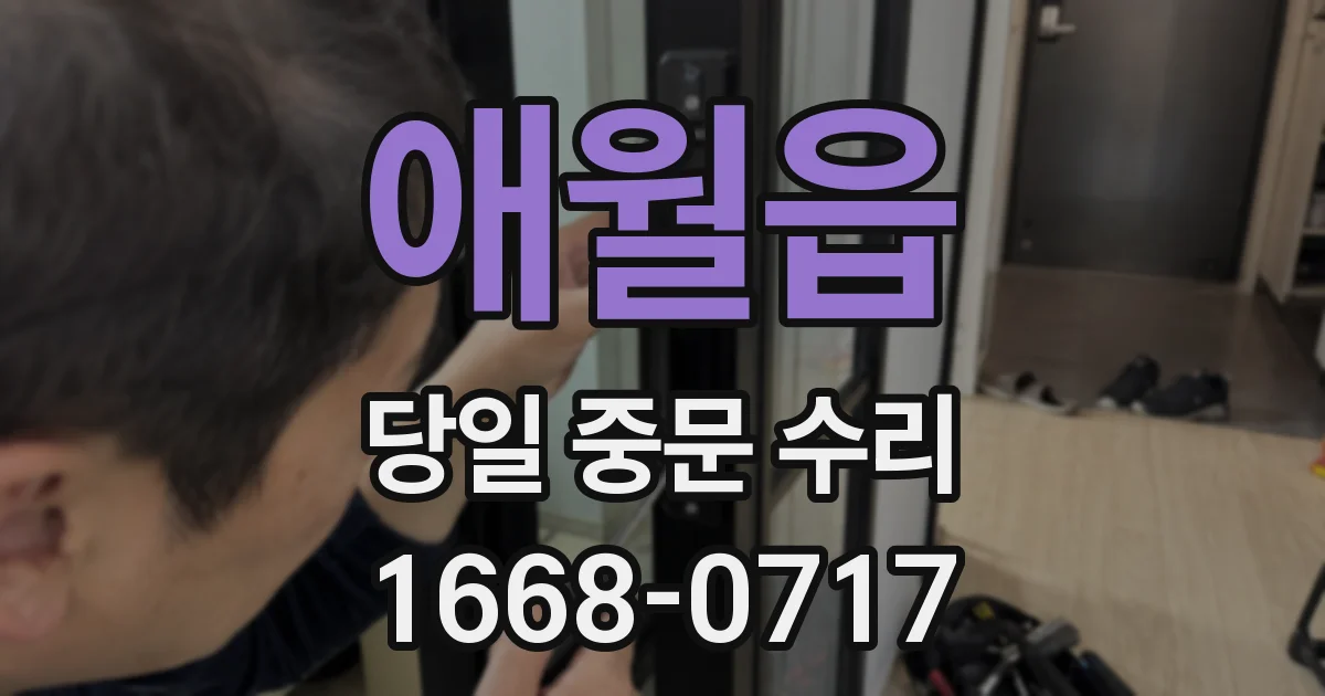애월읍 당일 중문 수리