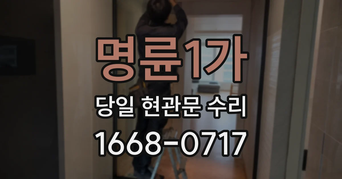 명륜1가 당일 현관문 수리