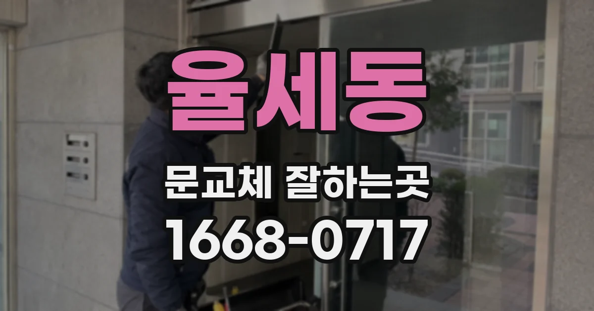 율세동 문교체 잘하는곳