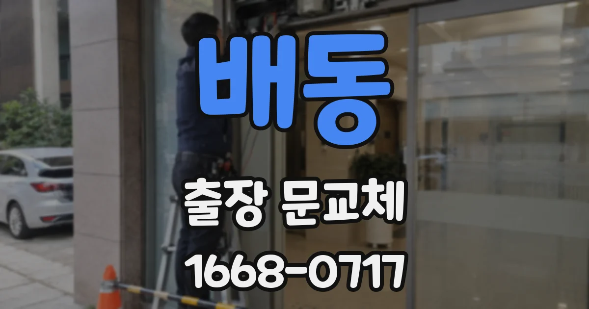 배동 출장 문교체