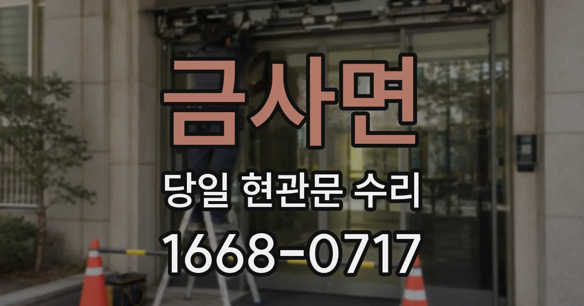 금사면 당일 현관문 수리