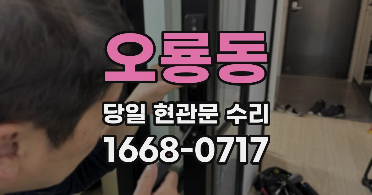 오룡동 당일 현관문 수리