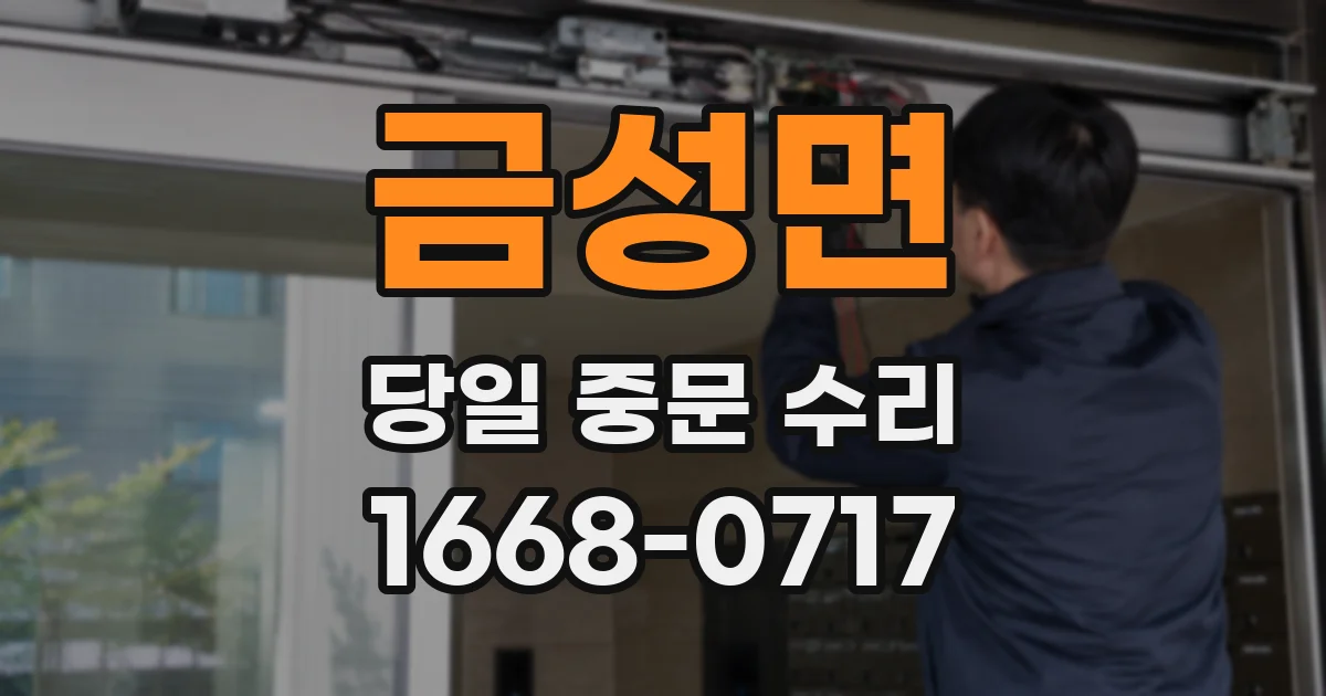 금성면 당일 중문 수리