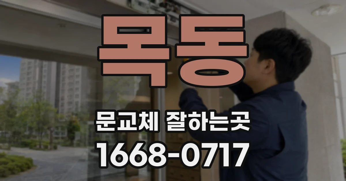 목동 문교체 잘하는곳