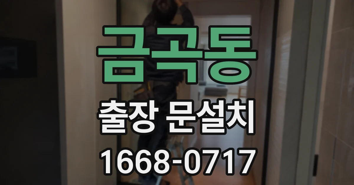 금곡동 출장 문설치