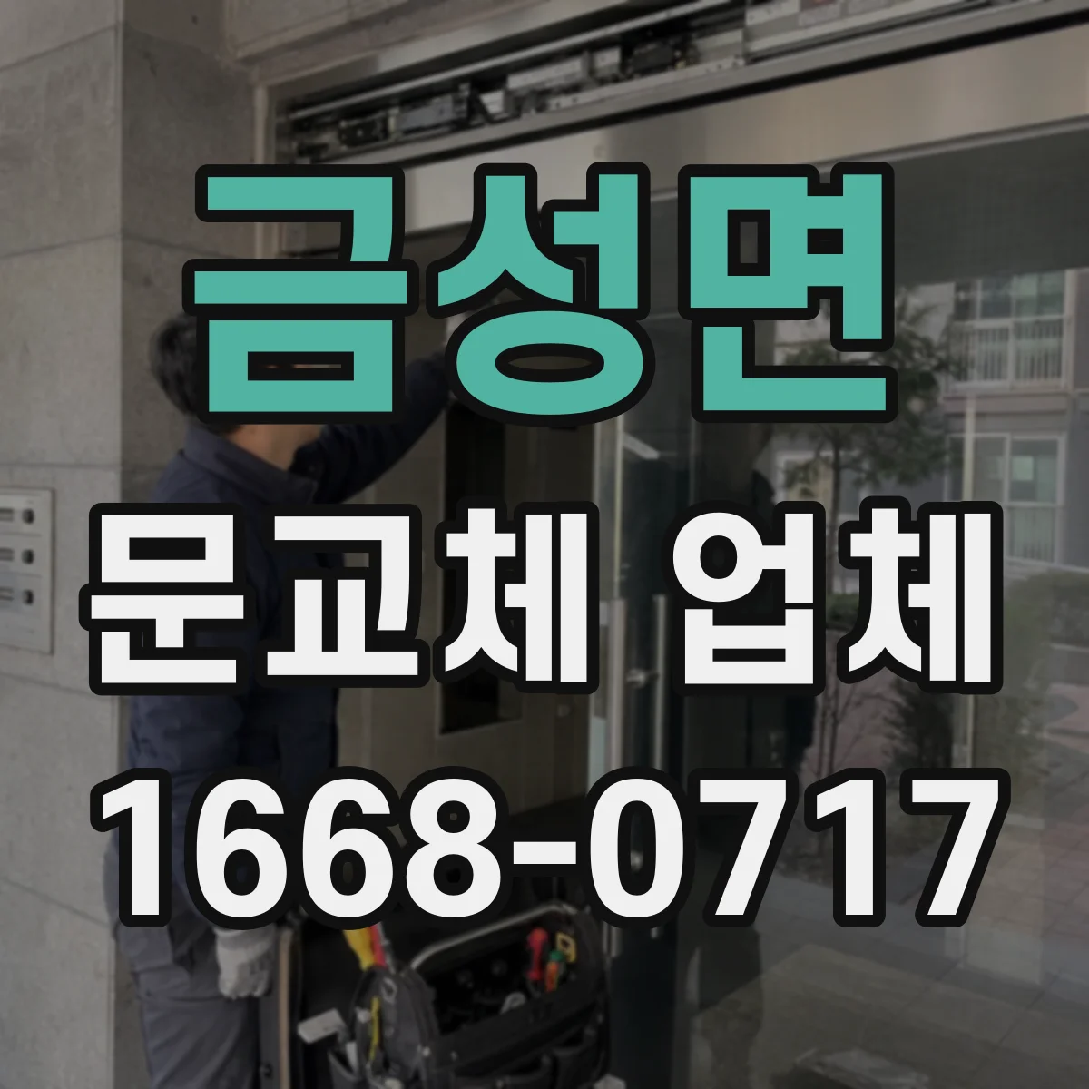 금성면 문교체 업체