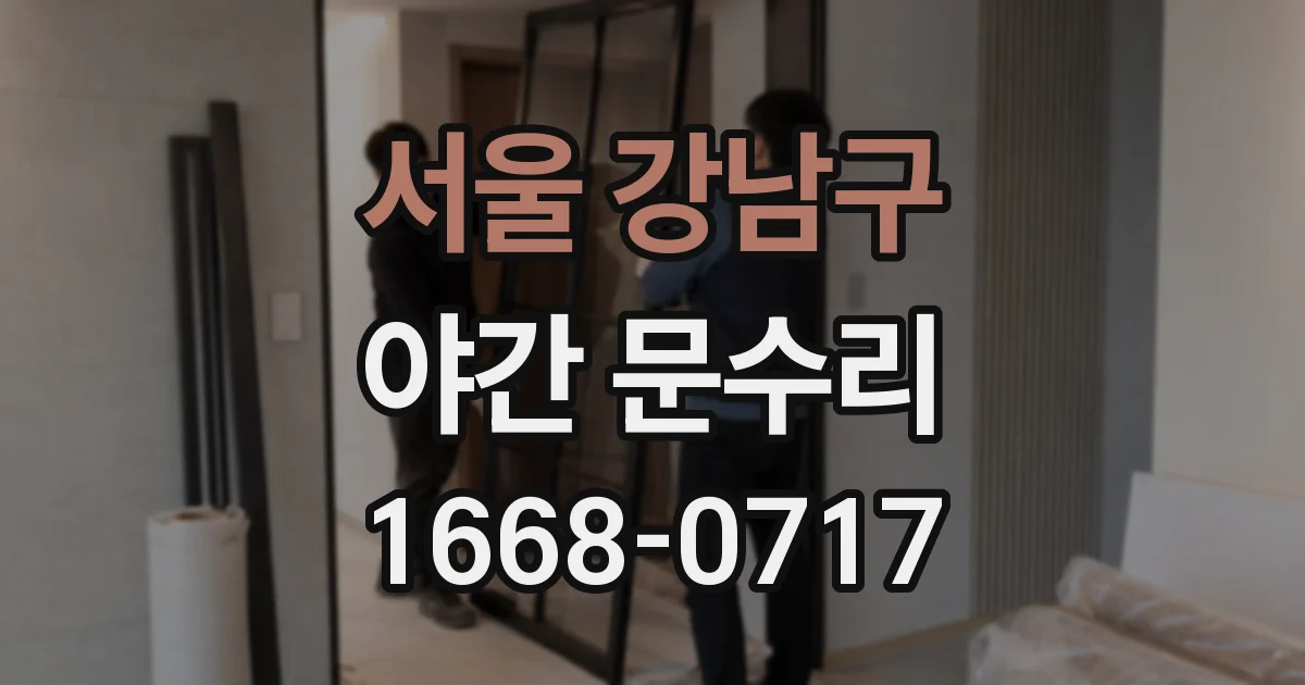 서울 강남구 야간 문수리