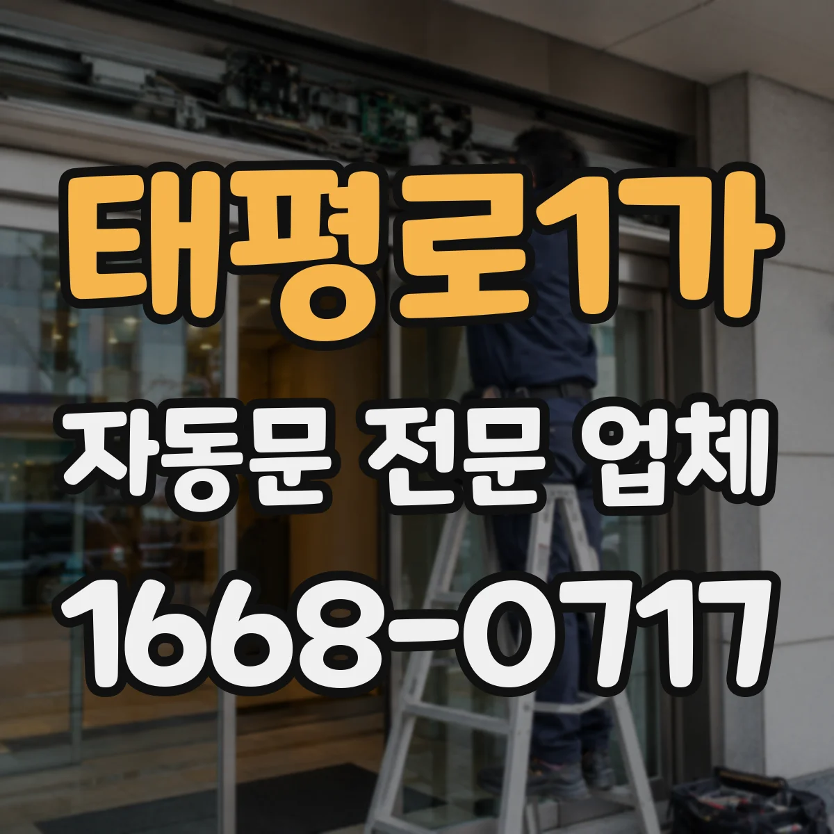 태평로1가 자동문 전문 업체