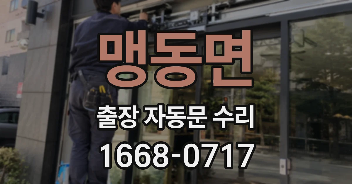 맹동면 출장 자동문 수리