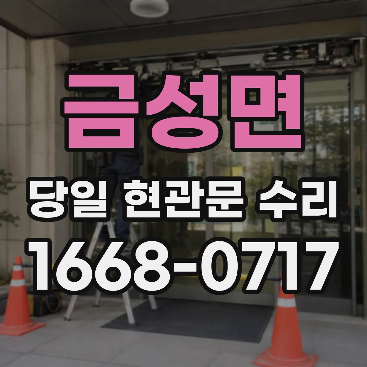 금성면 당일 현관문 수리