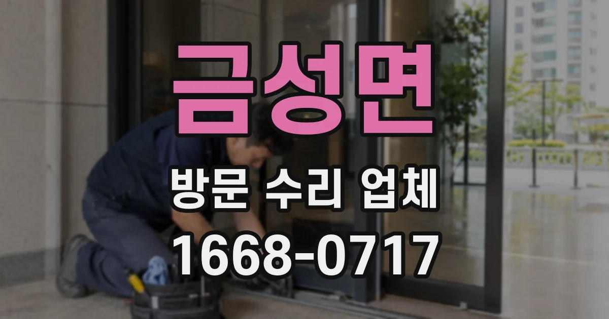 금성면 방문 수리 업체