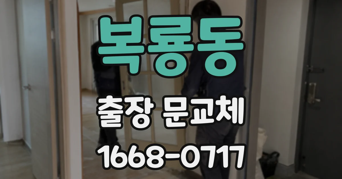 복룡동 출장 문교체
