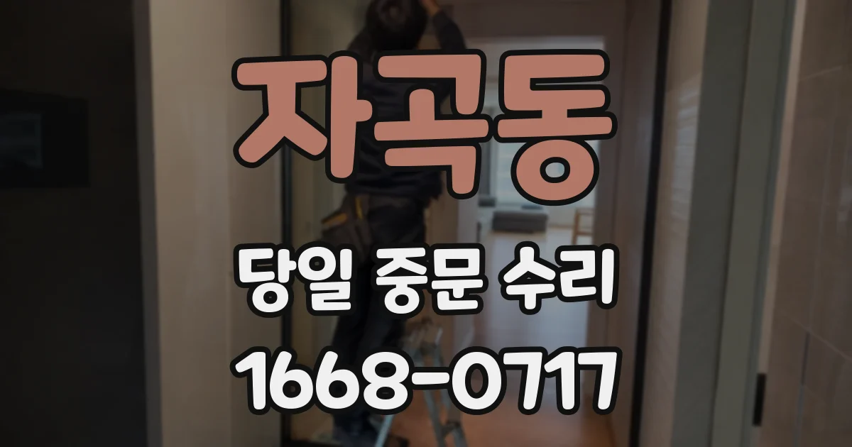 자곡동 당일 중문 수리