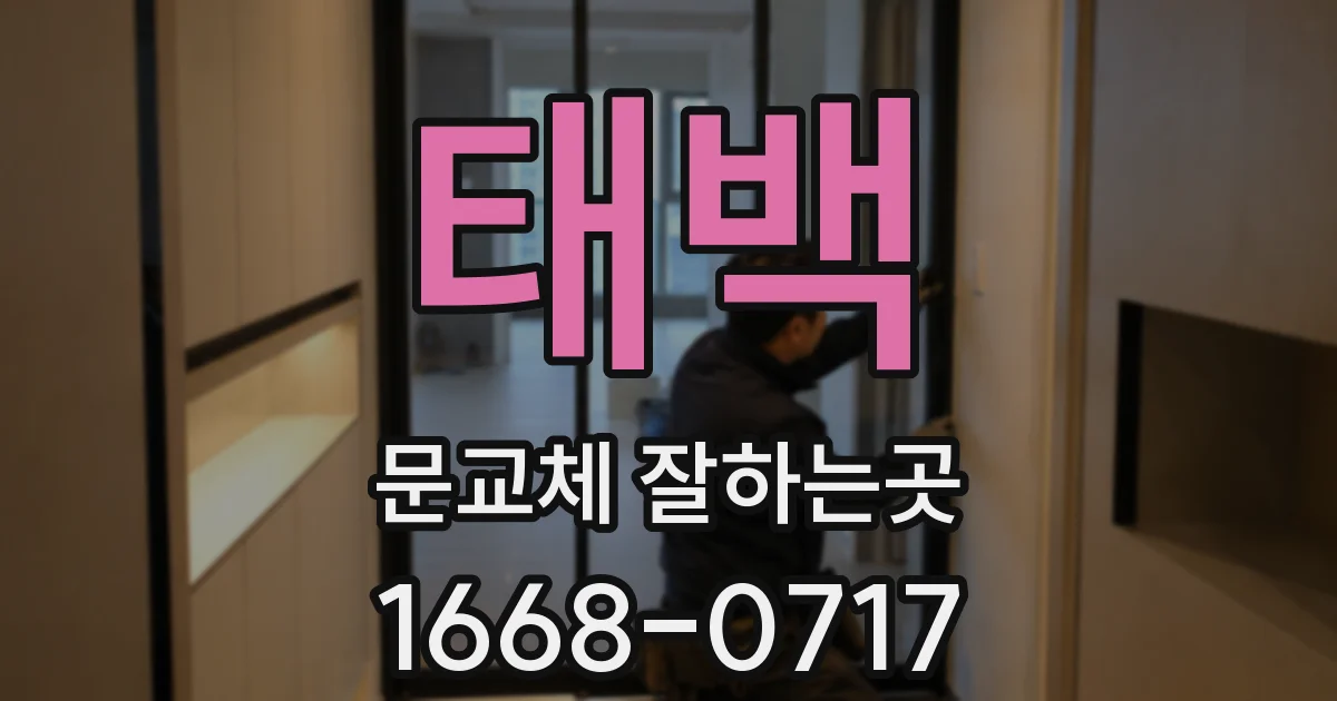 태백 문교체 잘하는곳