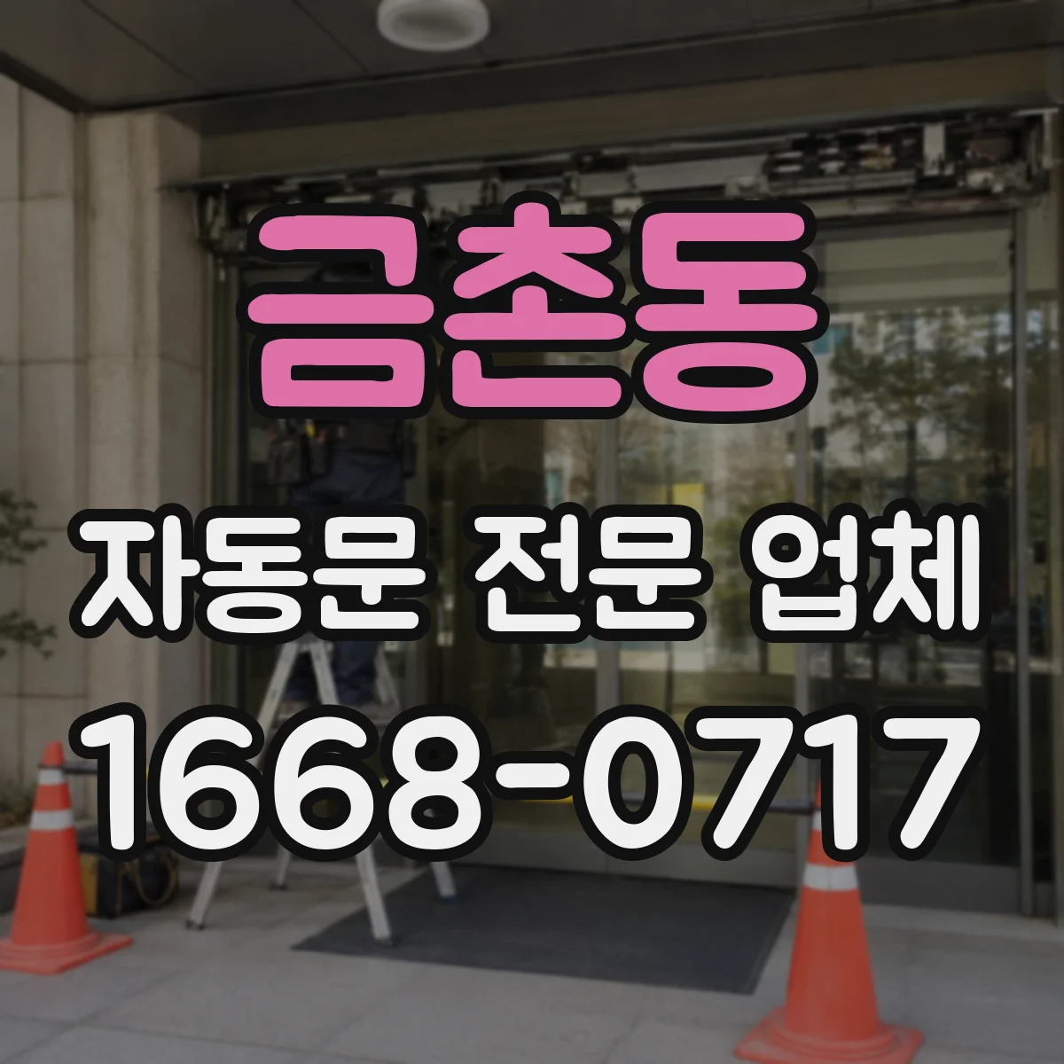 금촌동 자동문 전문 업체