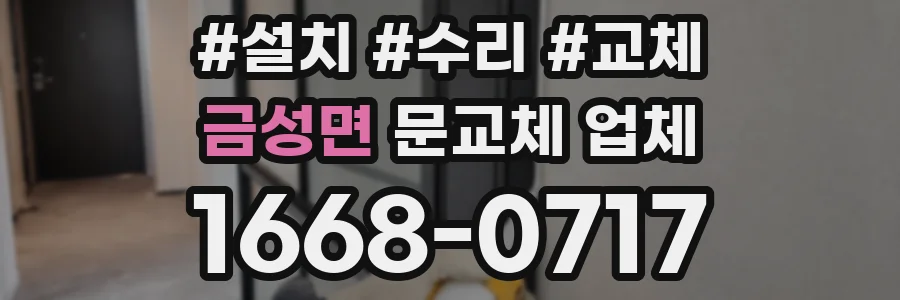 금성면 문교체 업체