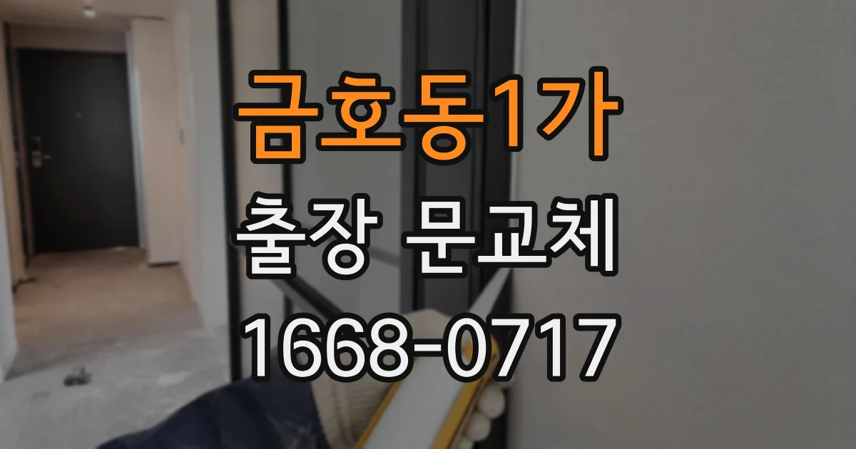 금호동1가 출장 문교체