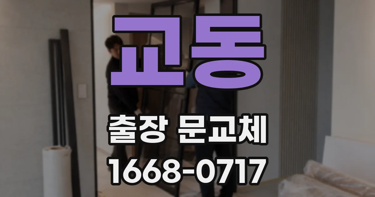 교동 출장 문교체