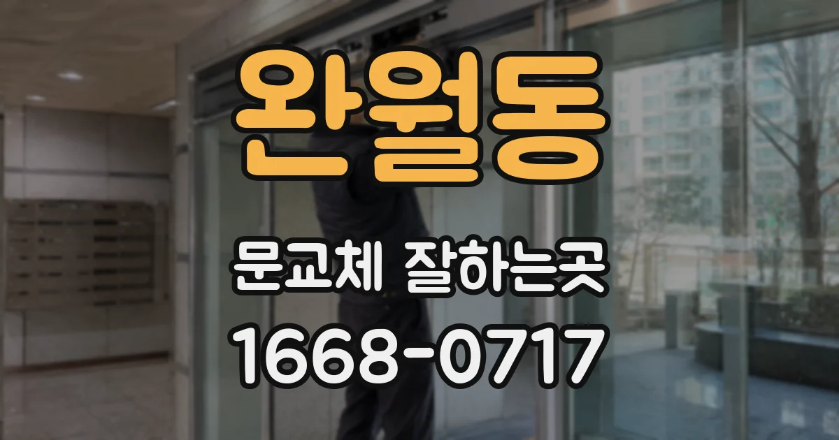 완월동 문교체 잘하는곳