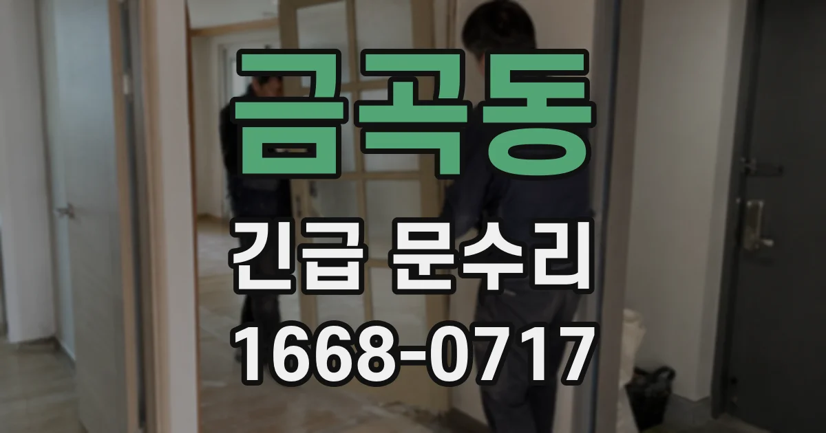 금곡동 긴급 문수리