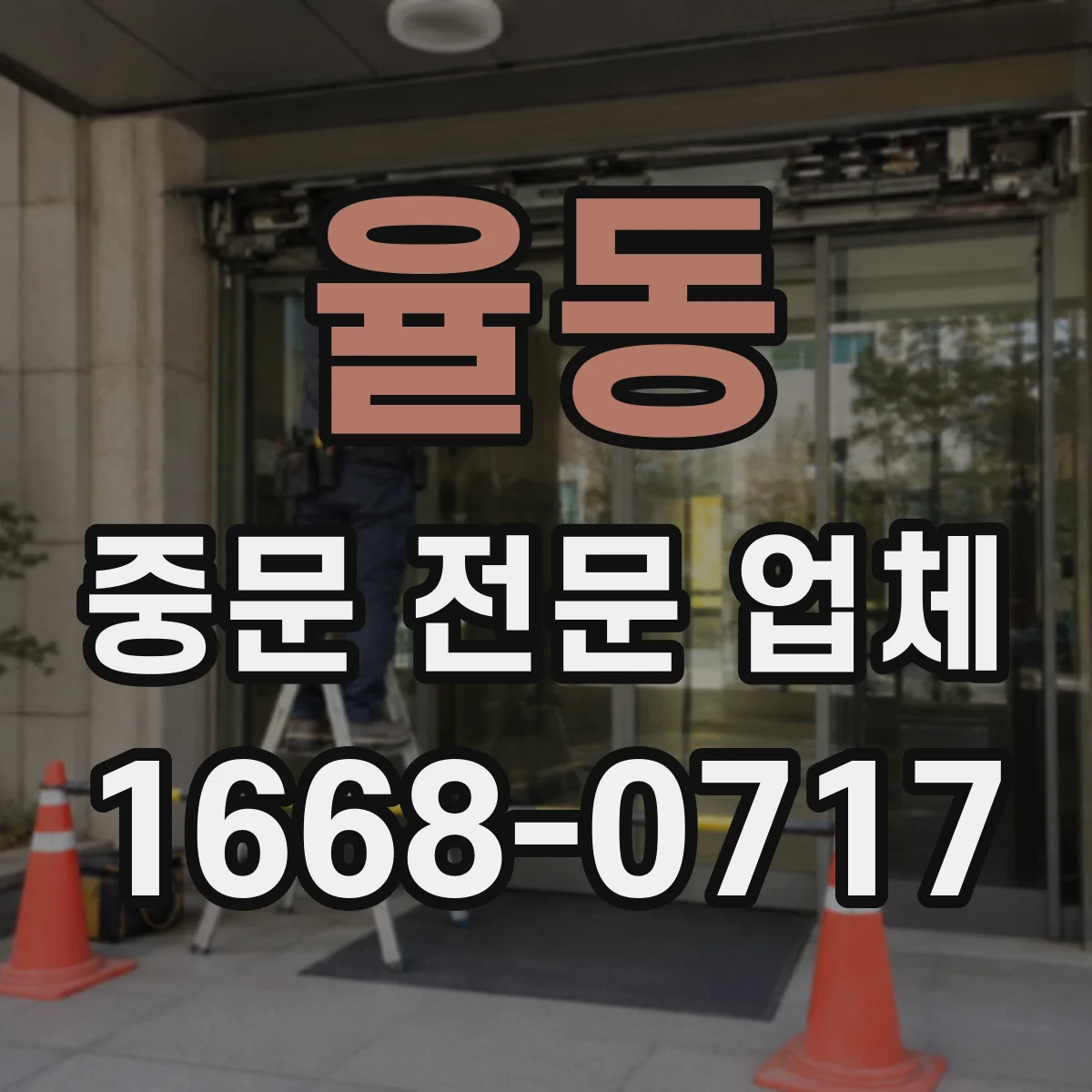 율동 중문 전문 업체