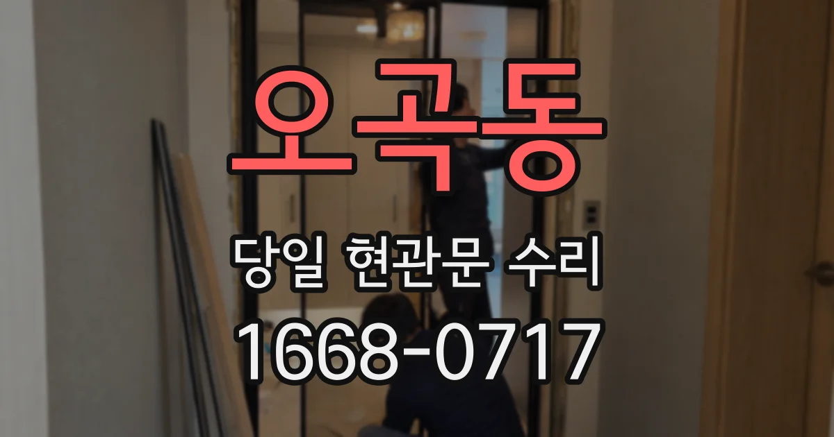 오곡동 당일 현관문 수리