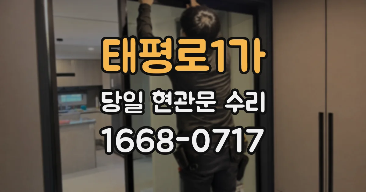 태평로1가 당일 현관문 수리