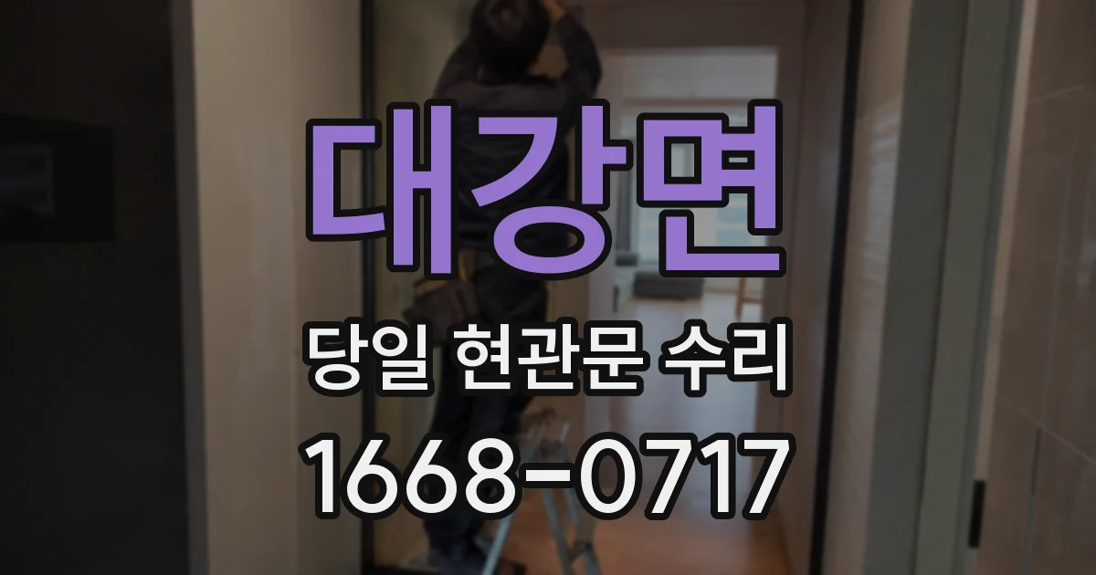 대강면 당일 현관문 수리