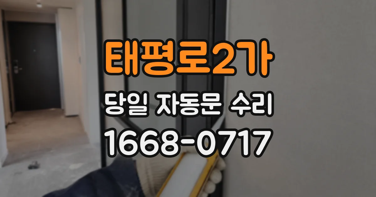 태평로2가 당일 자동문 수리