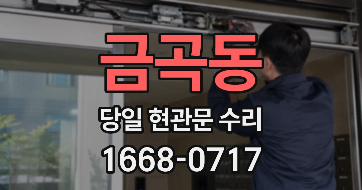 금곡동 당일 현관문 수리