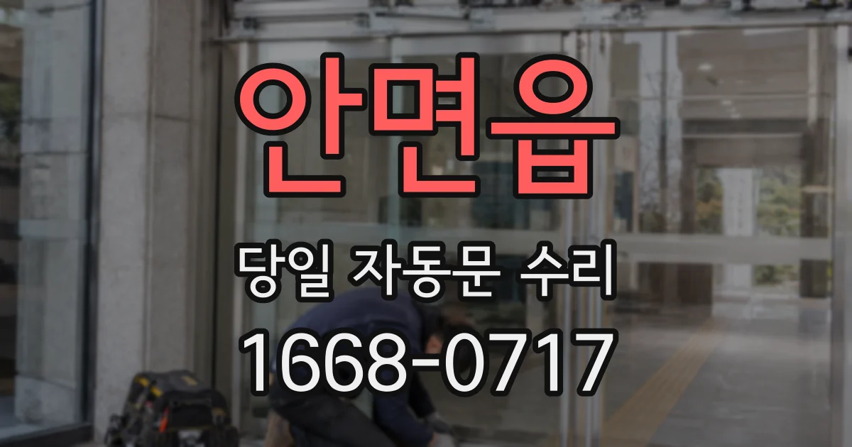 안면읍 당일 자동문 수리