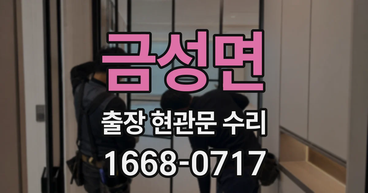 금성면 출장 현관문 수리