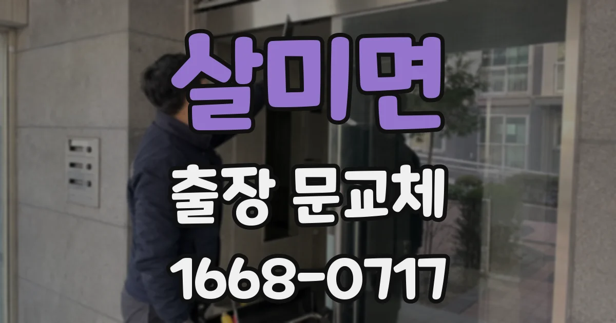 살미면 출장 문교체